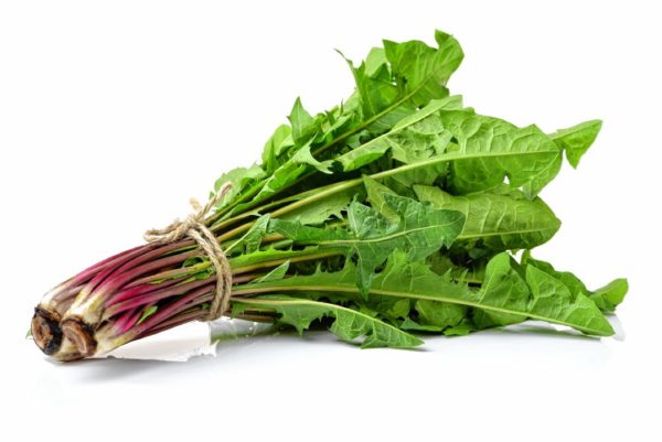 Dandelion Greens - Photo: chengyuzheng