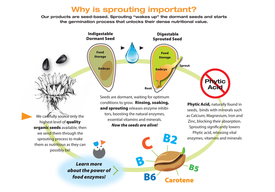 Soak And Sprout Chart