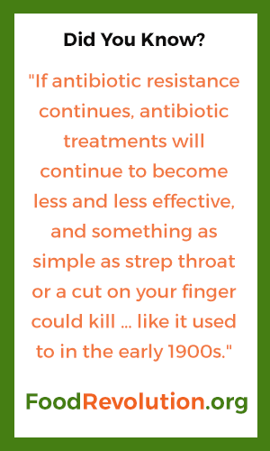 Antibiotic resistance quote from food revolution.org