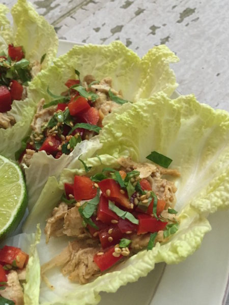 Slow Cooker Paleo Chicken, Thai style, with Red Pepper Salsa, by Marisa Moon of My Longevity Kitchen
